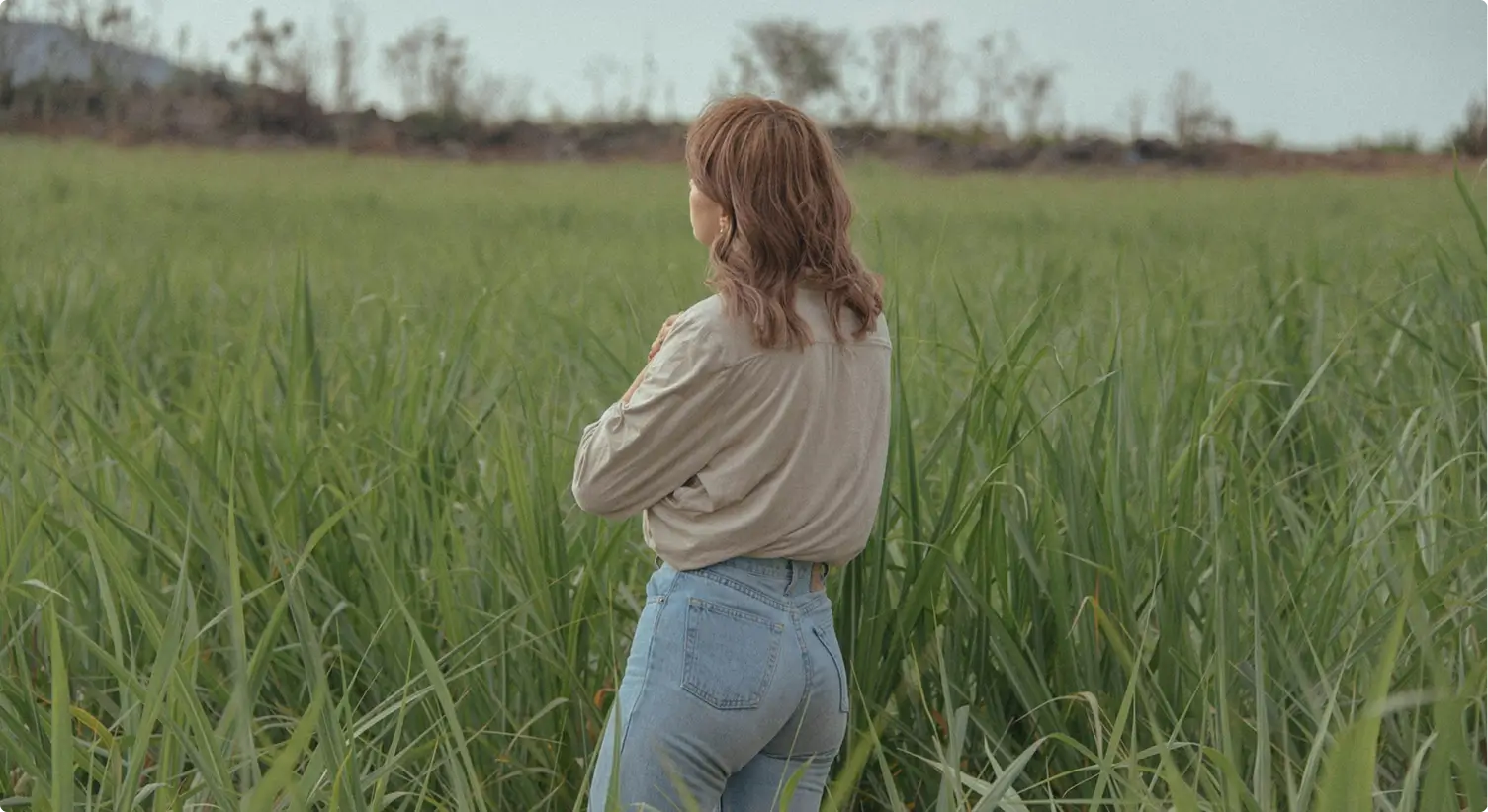 Ipsum ut eget auctor